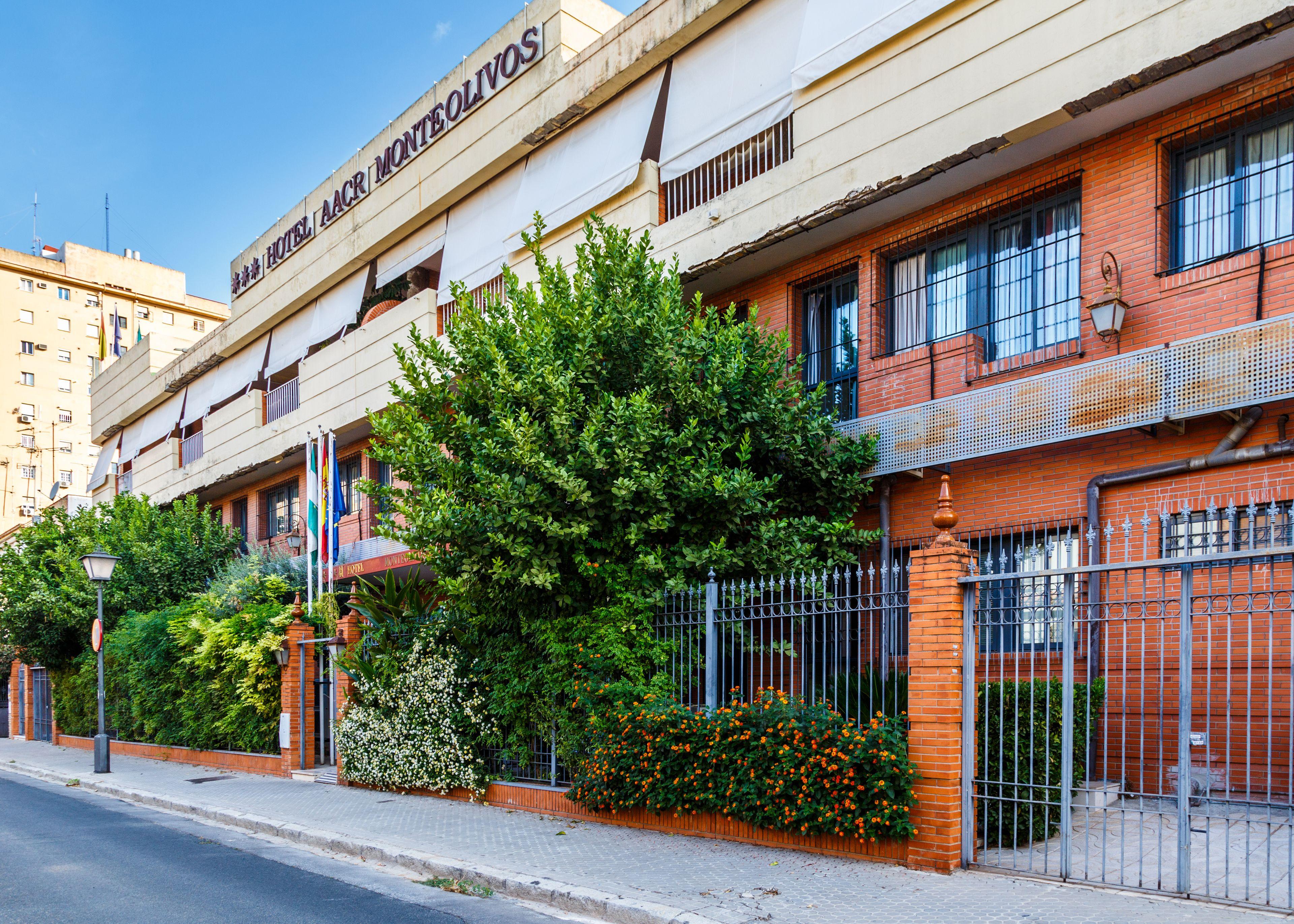 Aacr Hotel Monteolivos, Seville